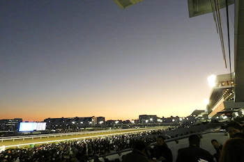 大井競馬場の画像